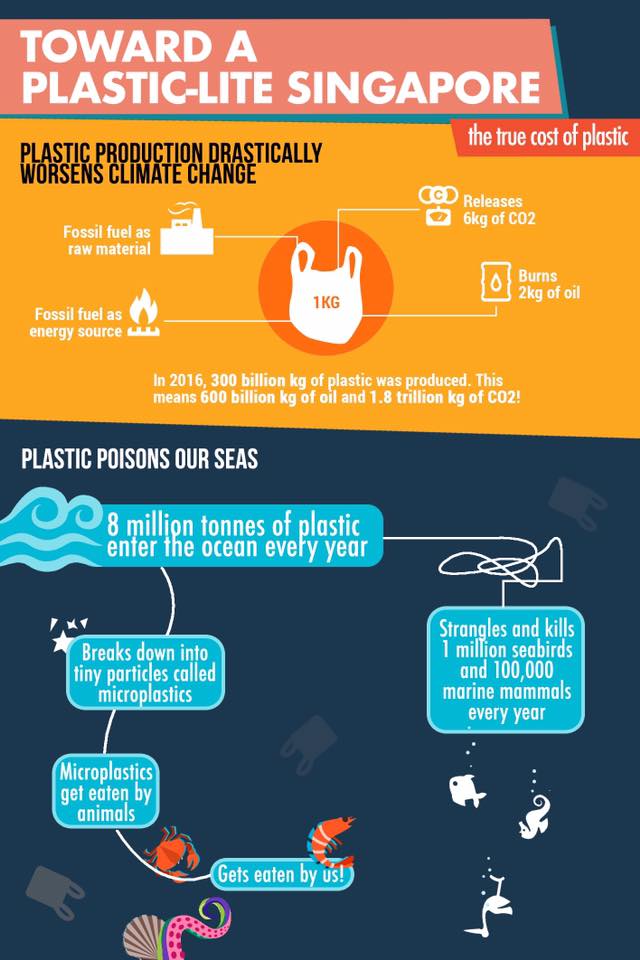 infographics explaining plastic pollution issues to contextualise MP Louis Ng's motion
